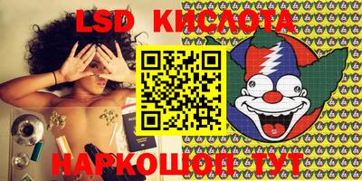 a pvp Кингисепп