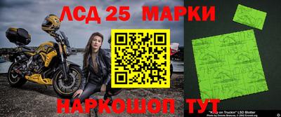 a pvp Кингисепп