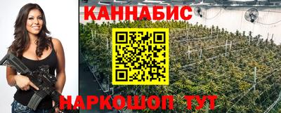 a pvp Кингисепп