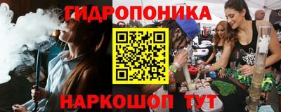 a pvp Кингисепп