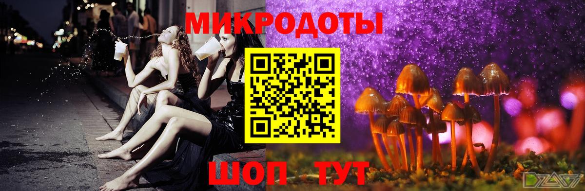 Псилоцибиновые грибы Psilocybine cubensis Котельники